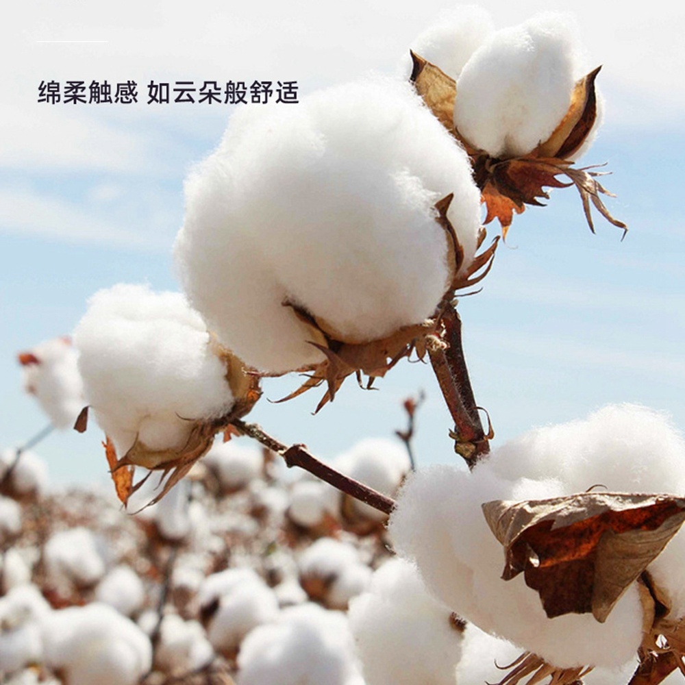 Mèche de bacon en coton biolog - Cotton Wick Organic avis et prix